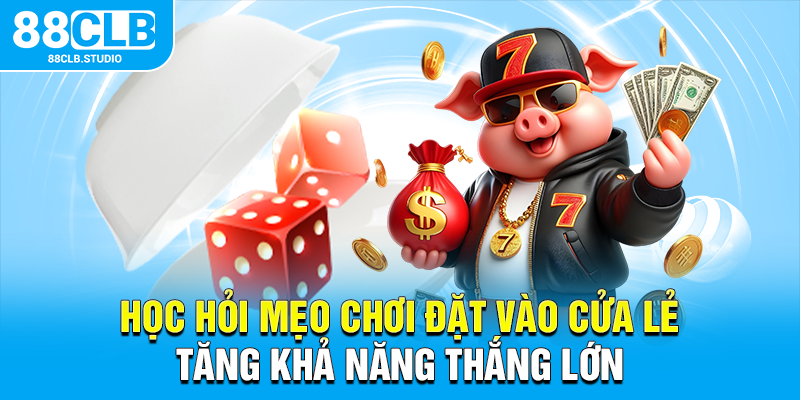 Học hỏi mẹo chơi đặt vào cửa lẻ tăng khả năng thắng lớn